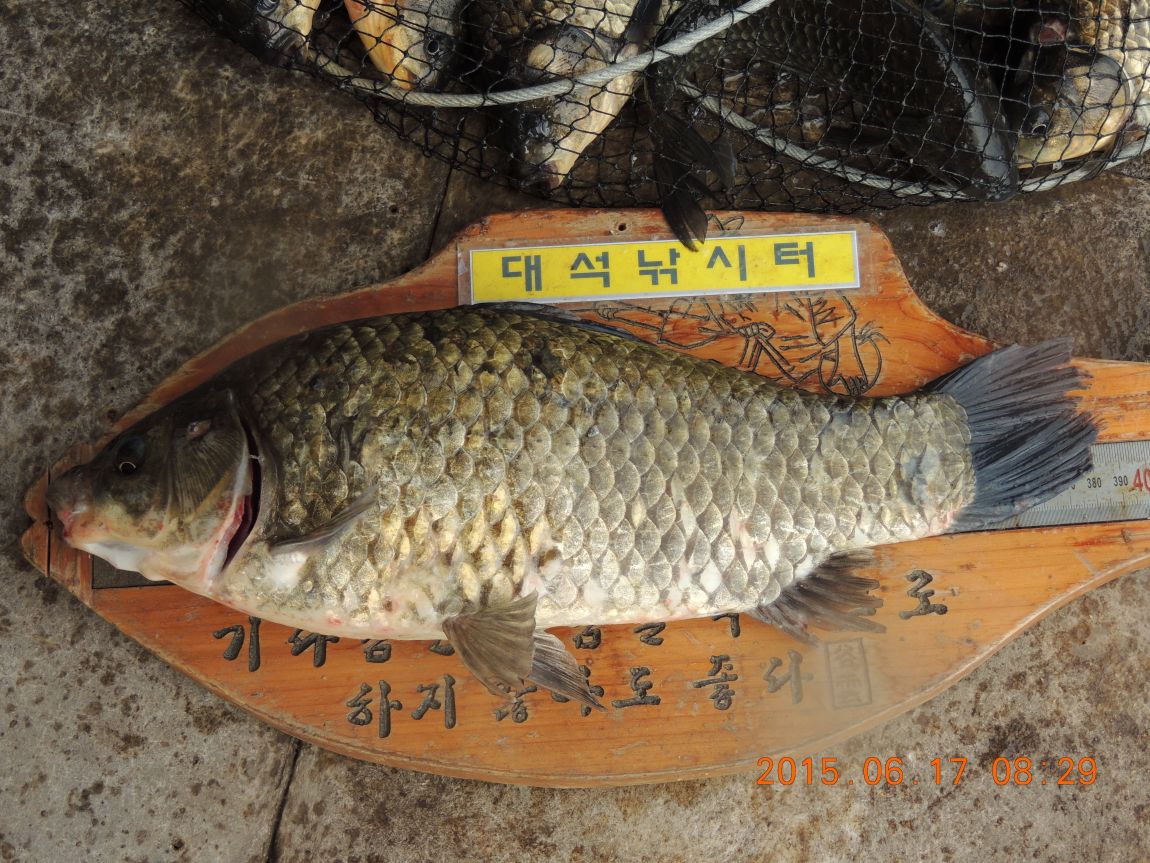 DSCN7311.JPG
