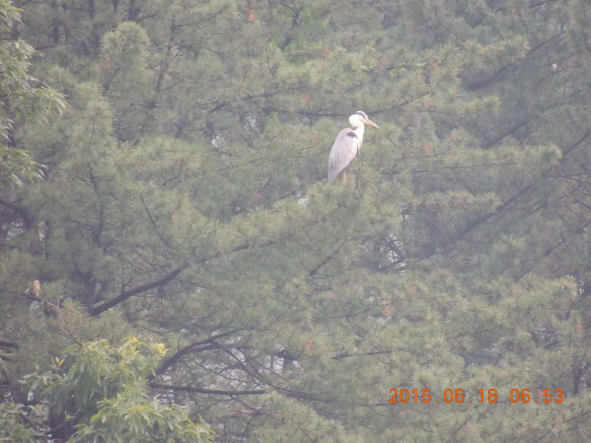 DSCN7322.JPG