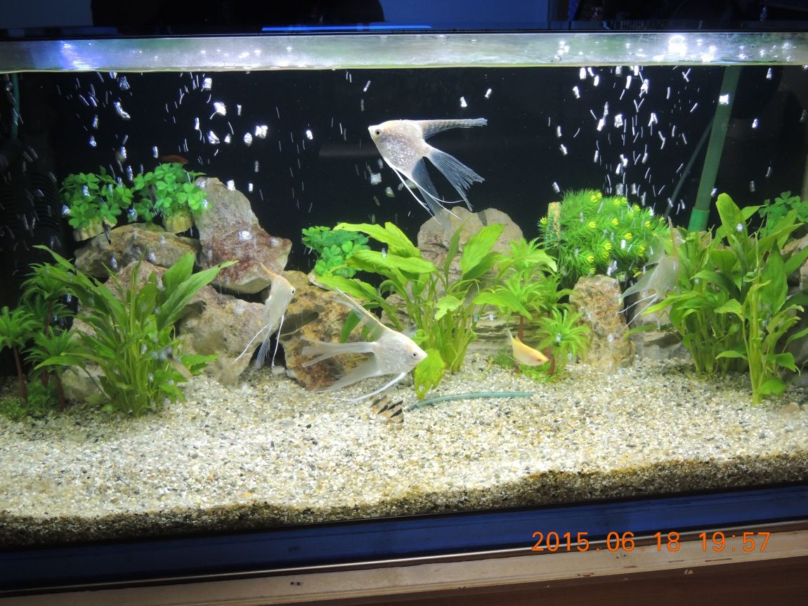 DSCN7329.JPG