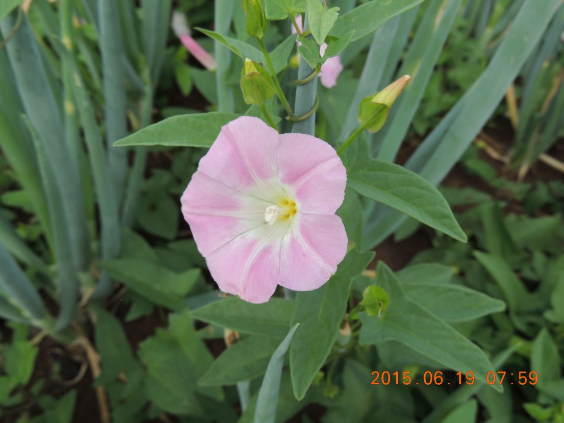 DSCN7333.JPG