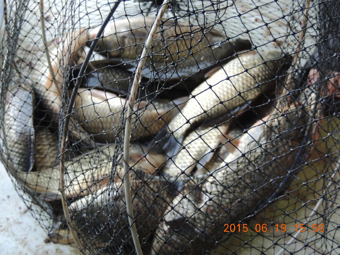 DSCN7339.JPG