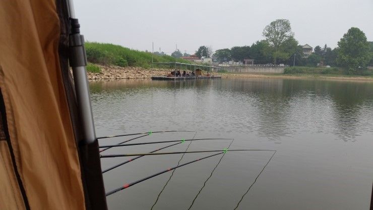 20150620_064411.jpg