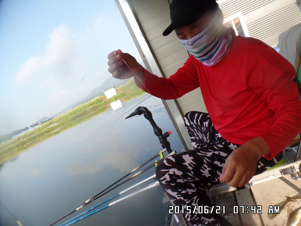 SAM_7020.JPG