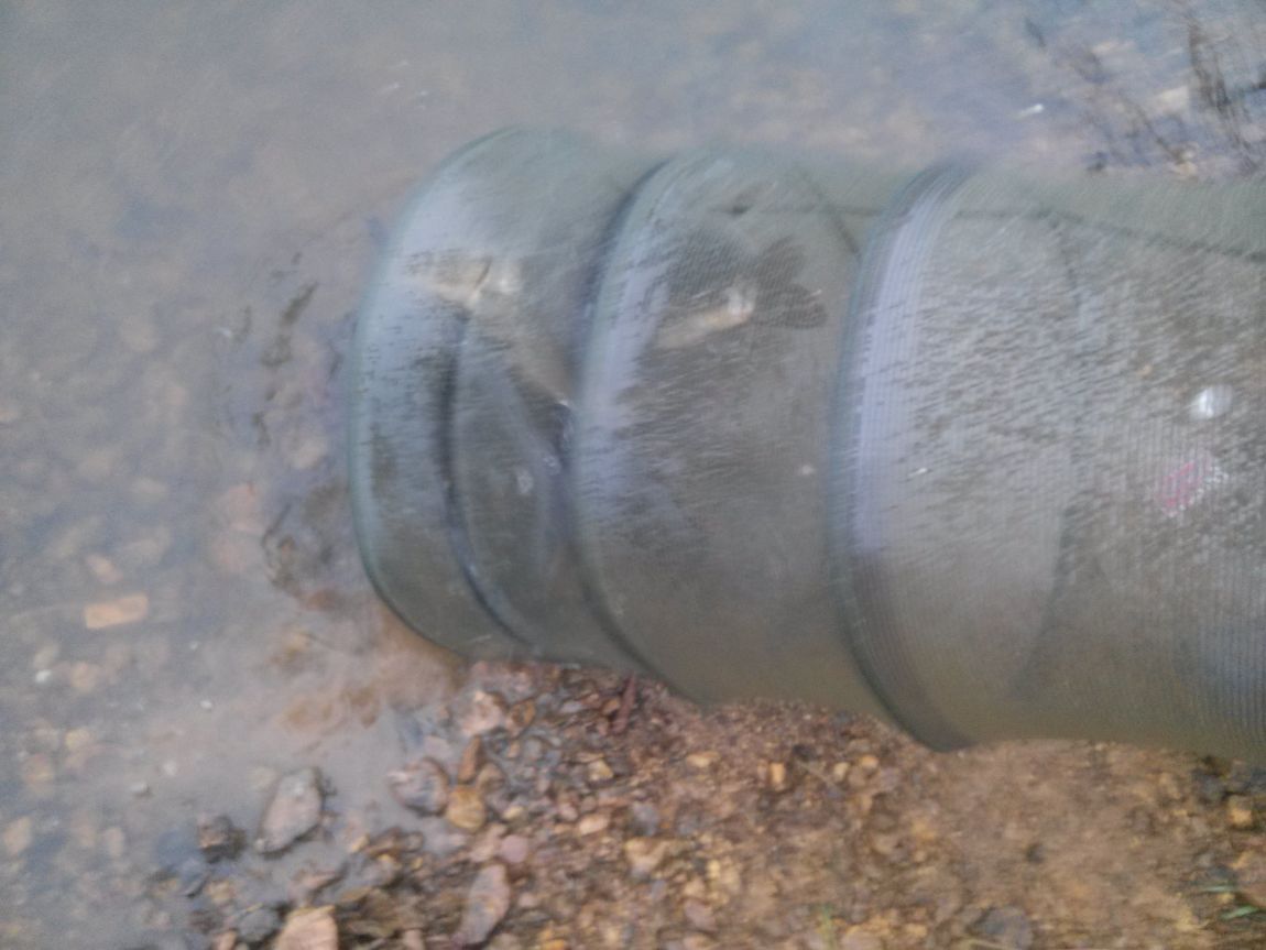 CAM05953.jpg