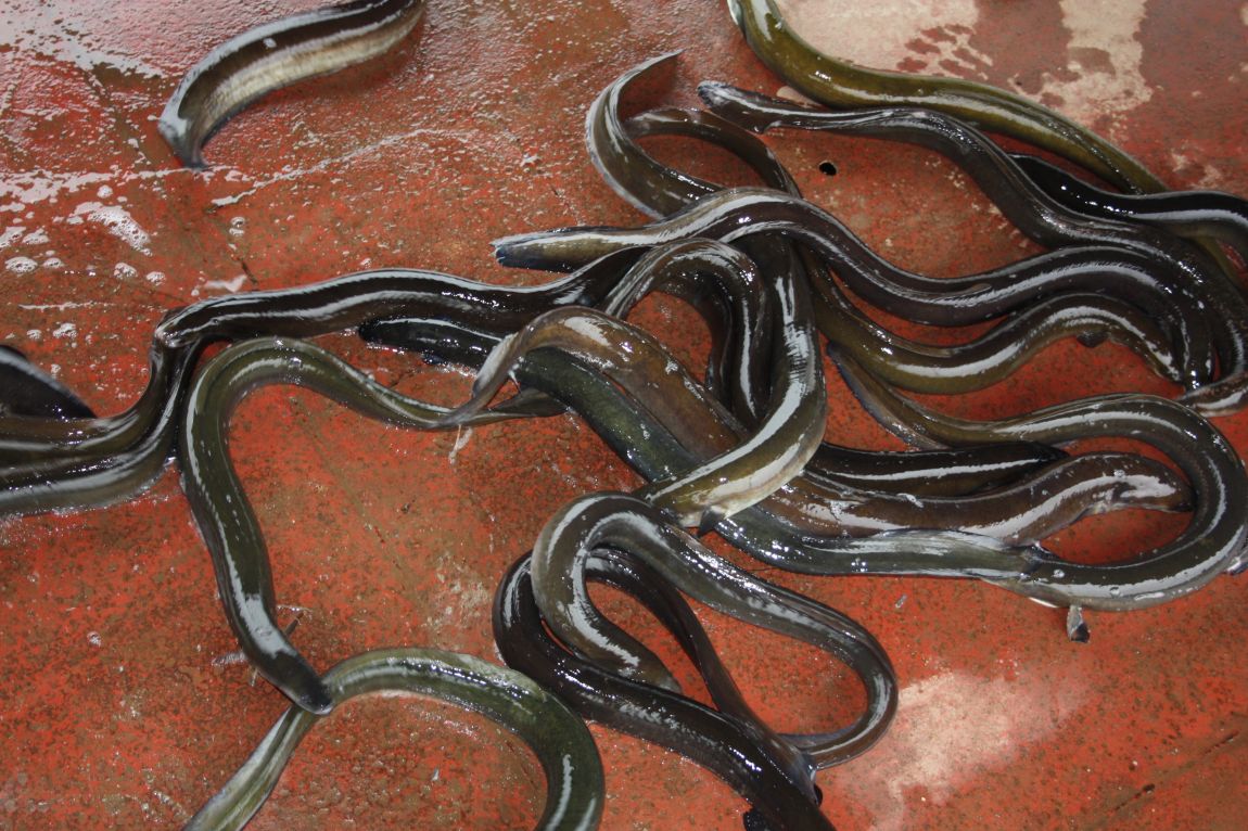 6��3°�� �ָ���Ȳ 294.JPG