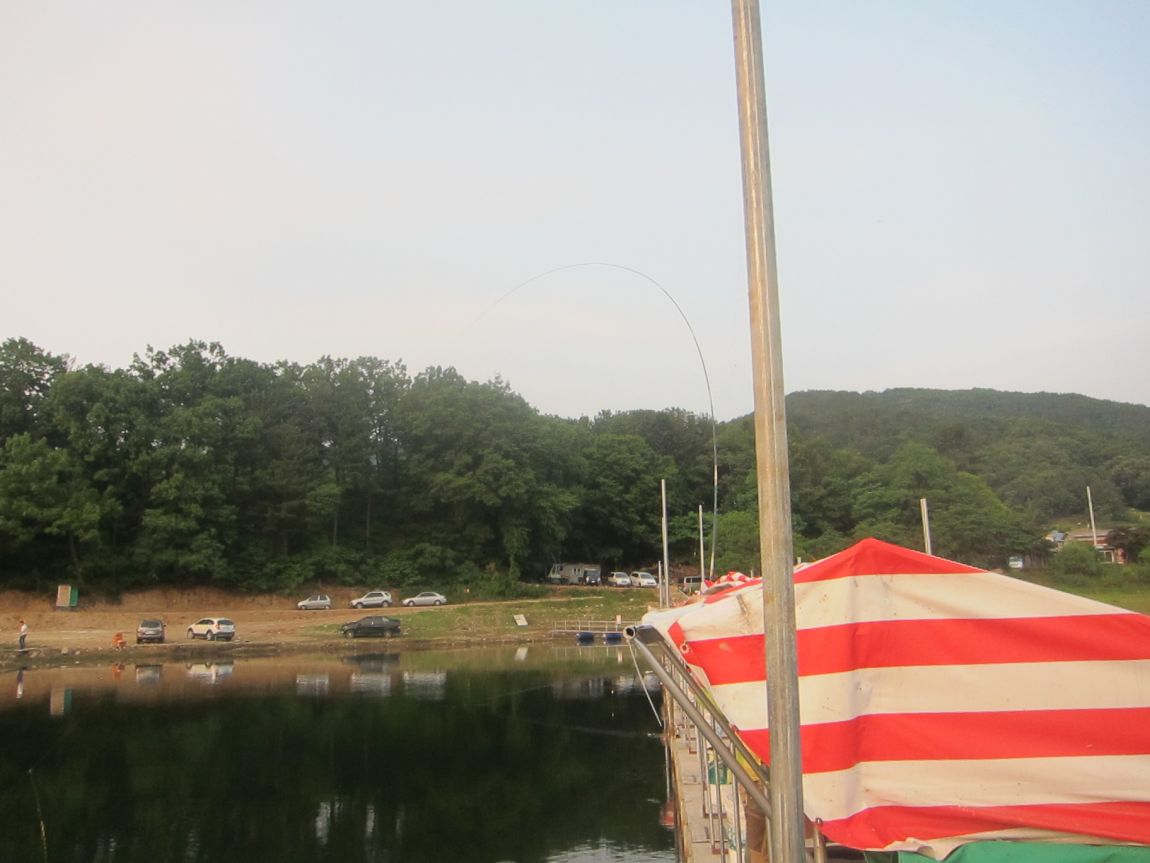 IMG_4173.JPG