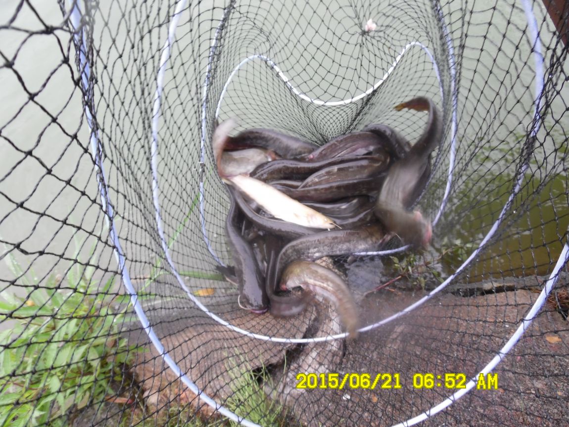 6��19��~20���� 002.JPG