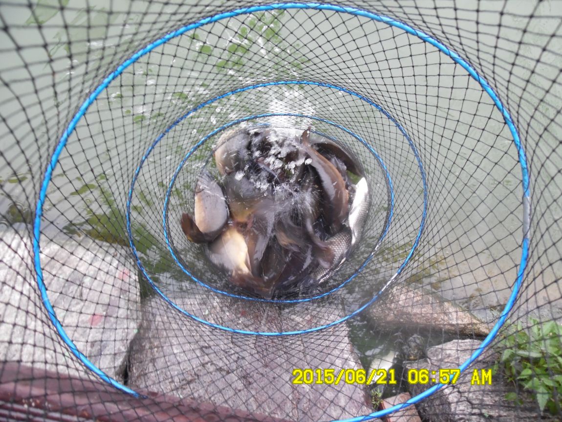 6��19��~20���� 005.JPG