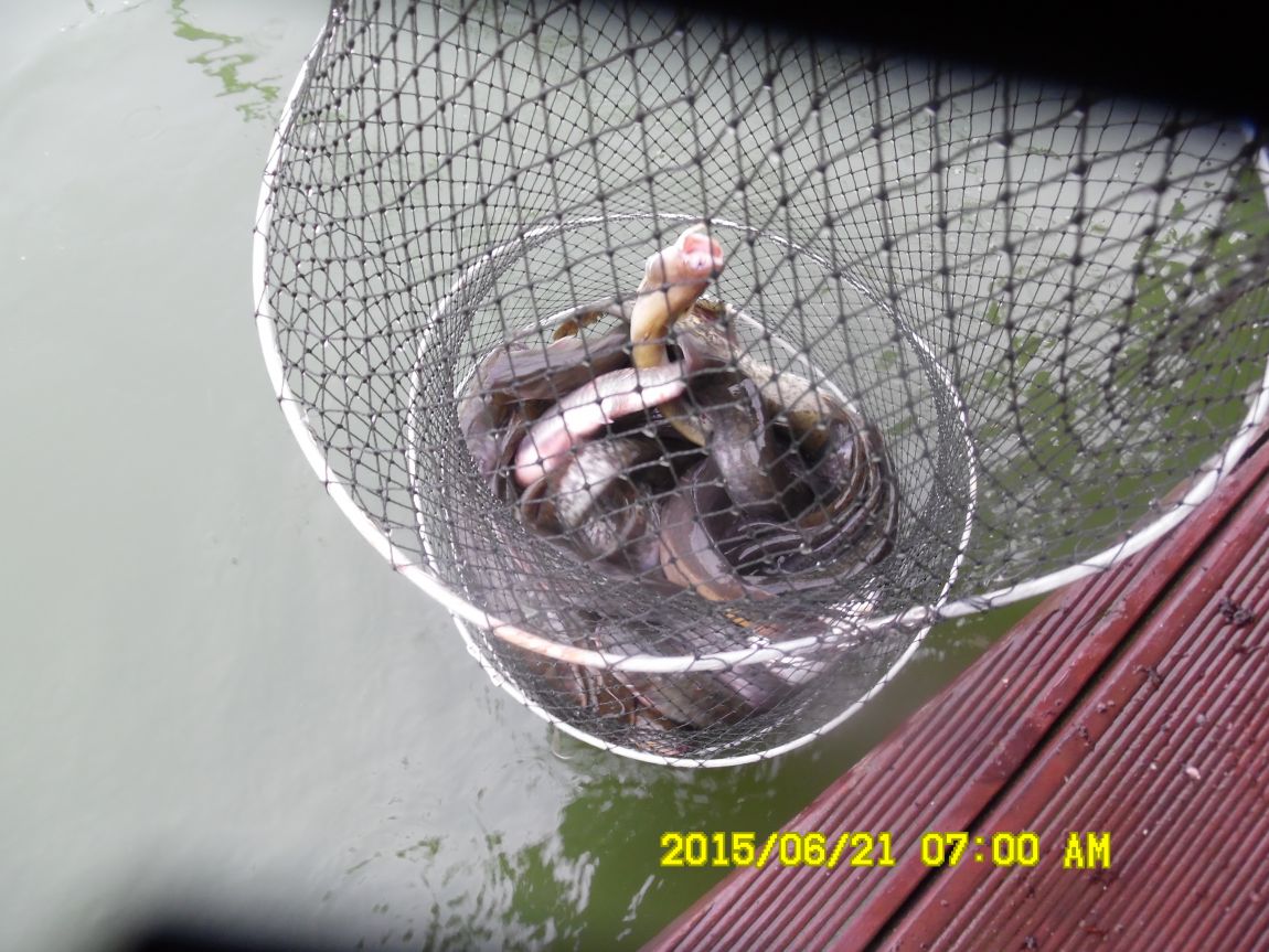 6��19��~20���� 007.JPG