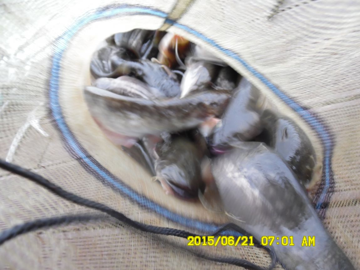 6��19��~20���� 008.JPG