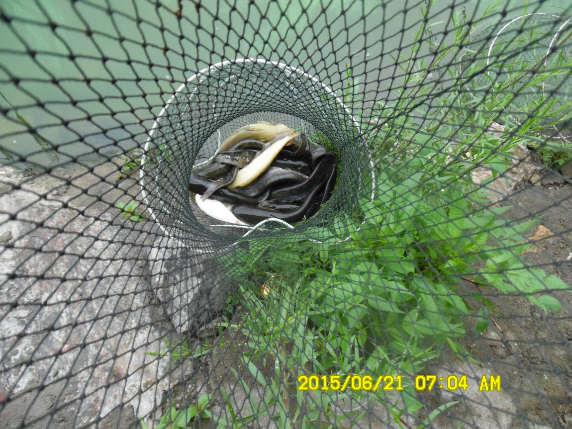 6��19��~20���� 011.JPG