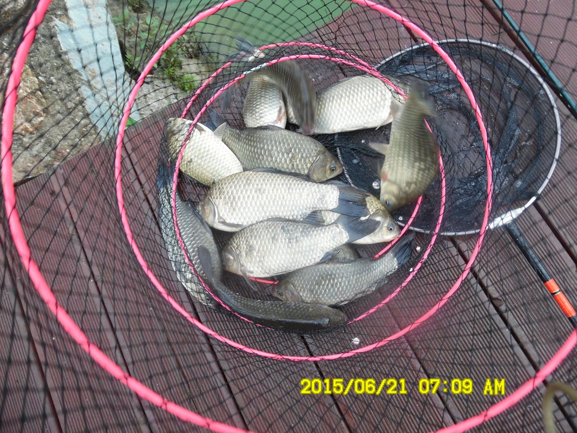 6��19��~20���� 015.JPG