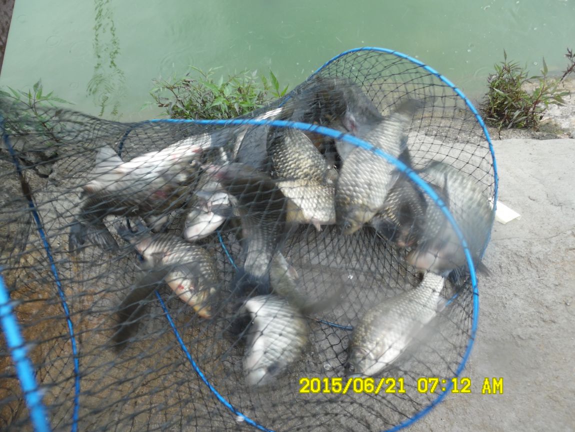 6��19��~20���� 018.JPG