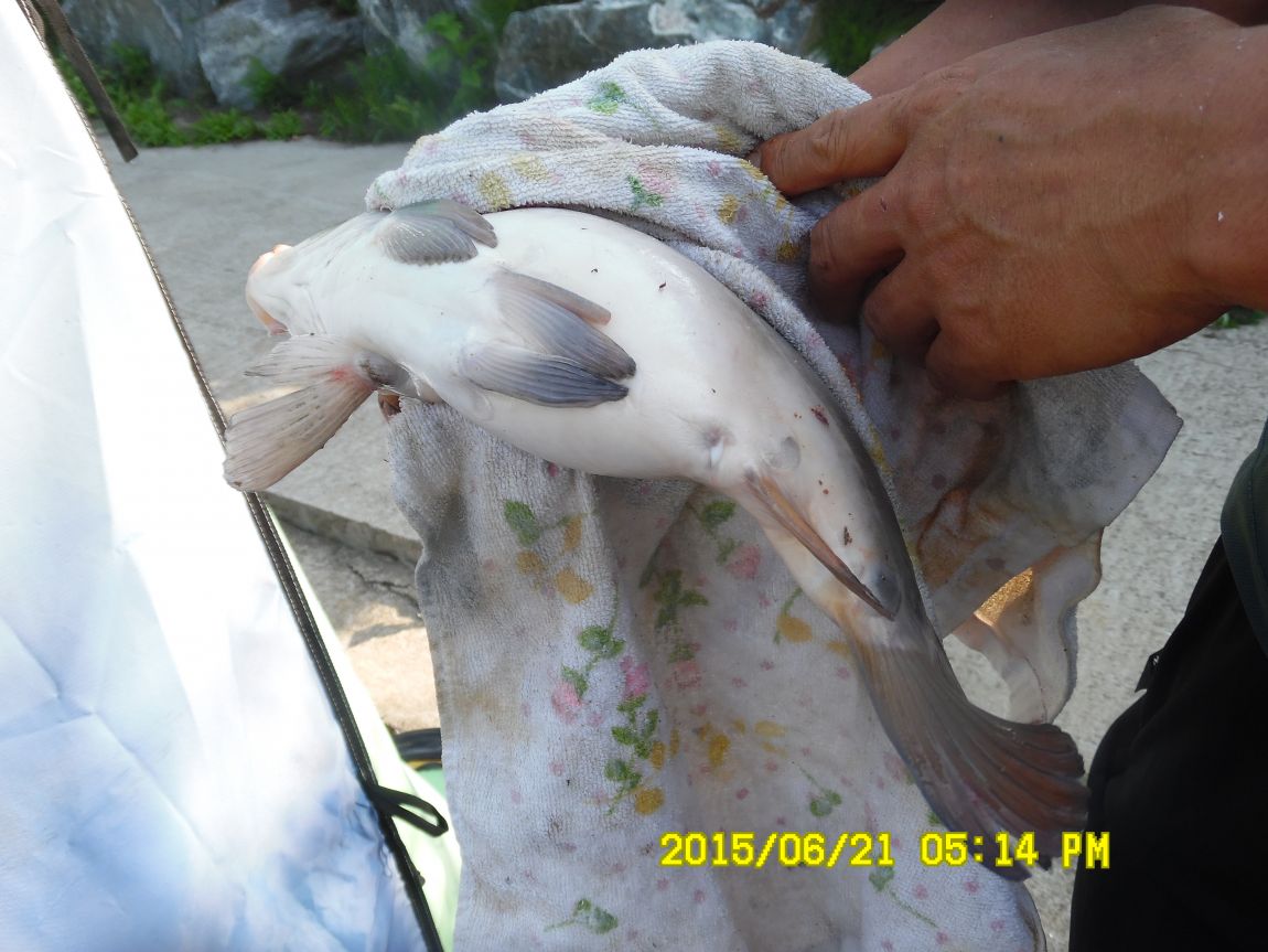 6��19��~20���� 022.JPG