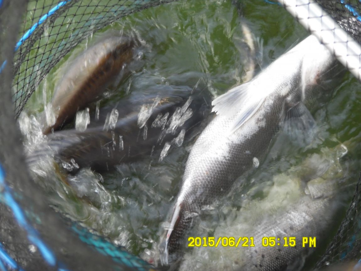 6��19��~20���� 023.JPG