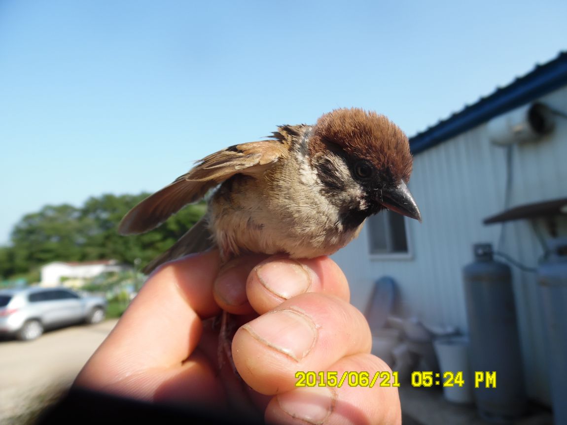 6��19��~20���� 025.JPG