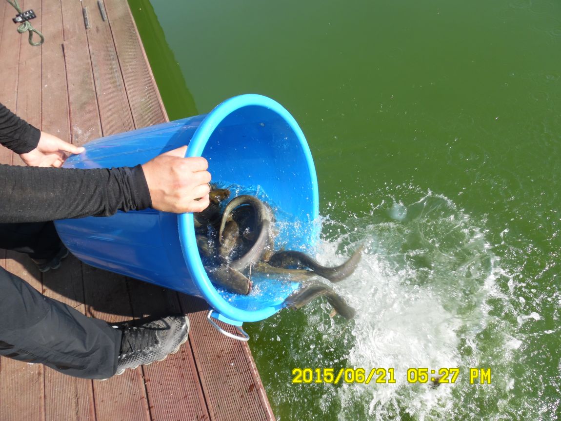 6��19��~20���� 026.JPG