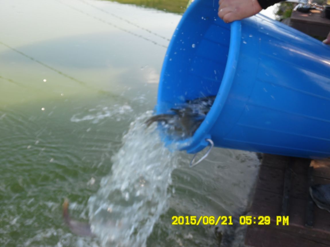 6��19��~20���� 027.JPG