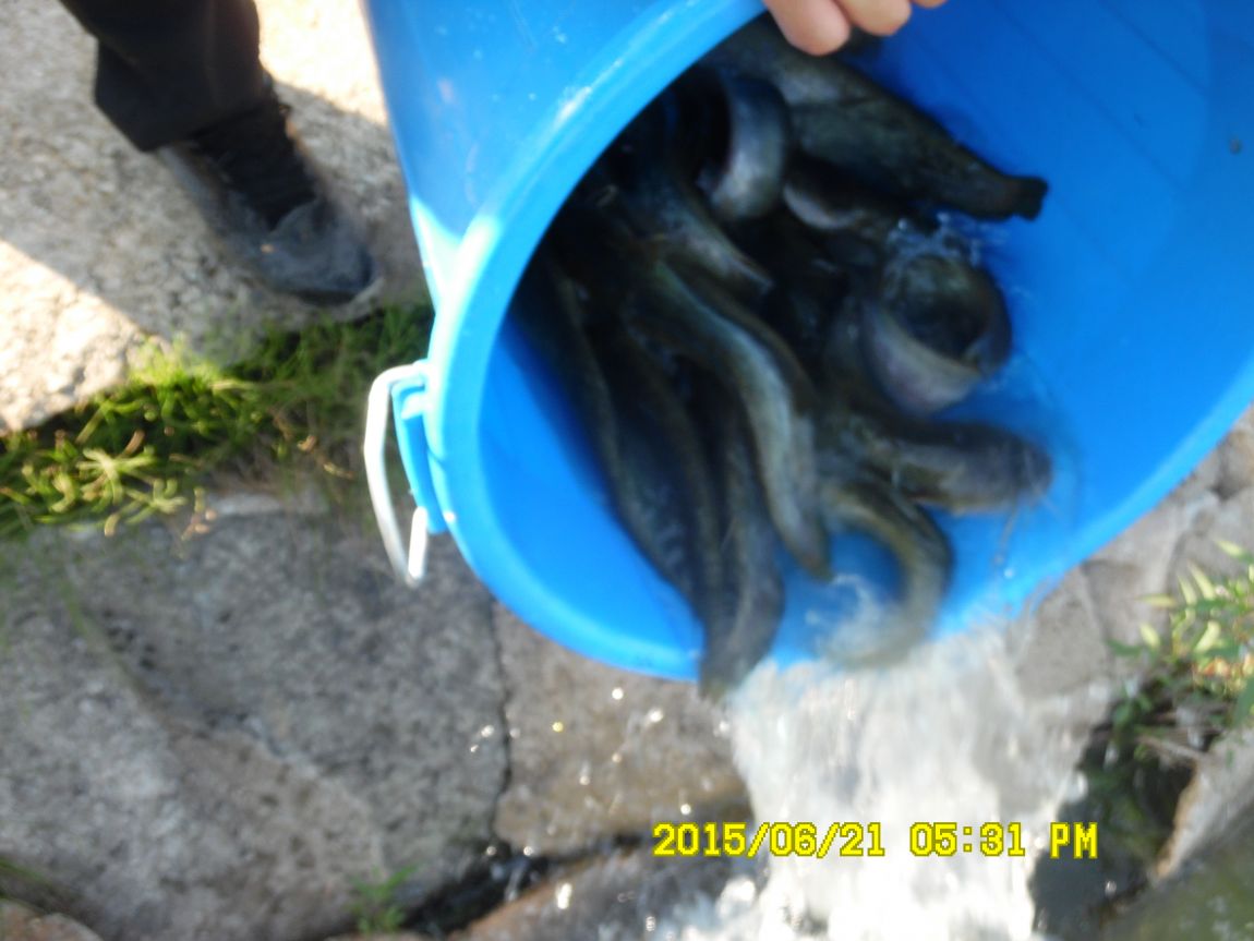 6��19��~20���� 028.JPG