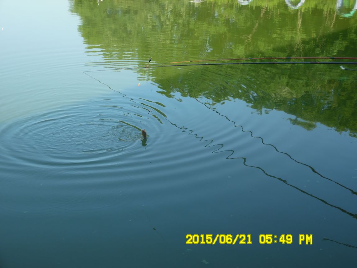 6��19��~20���� 029.JPG