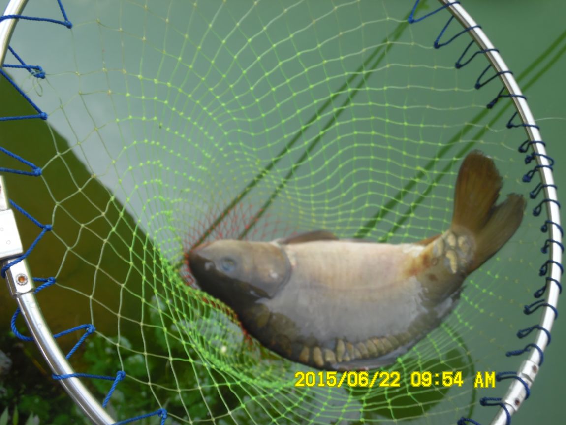 6��19��~20���� 031.JPG