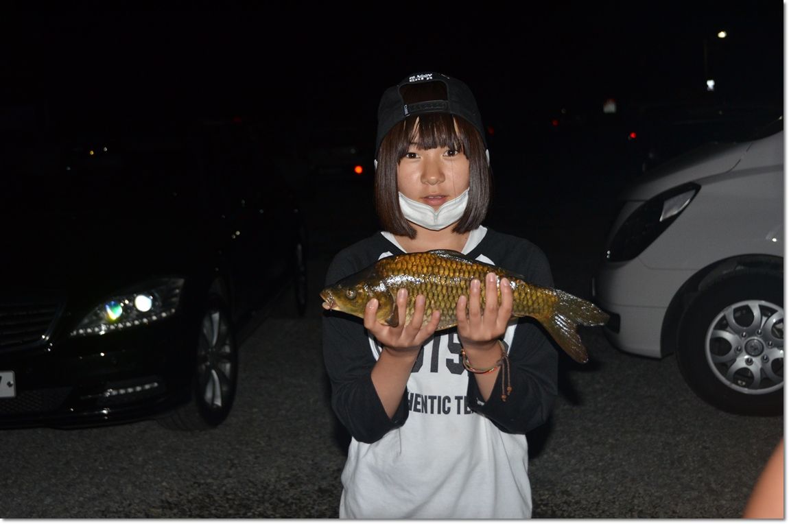DSC_8235.JPG