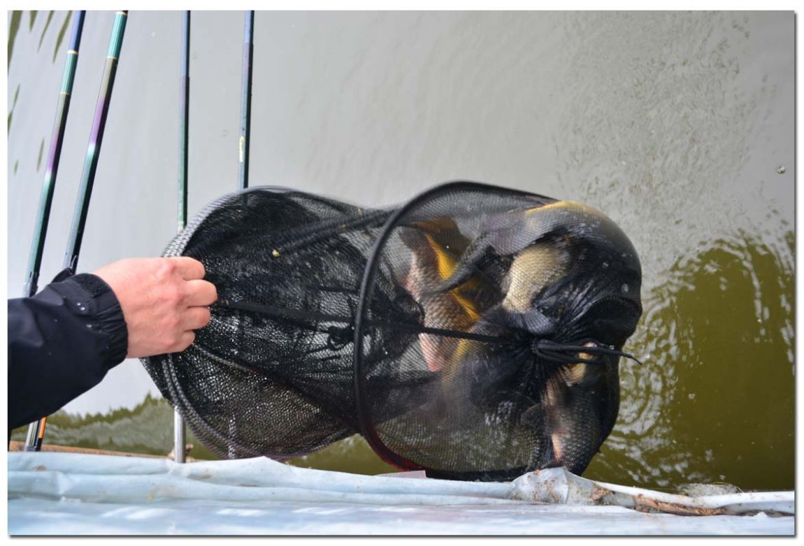 Untitled-1 copy 2.jpg