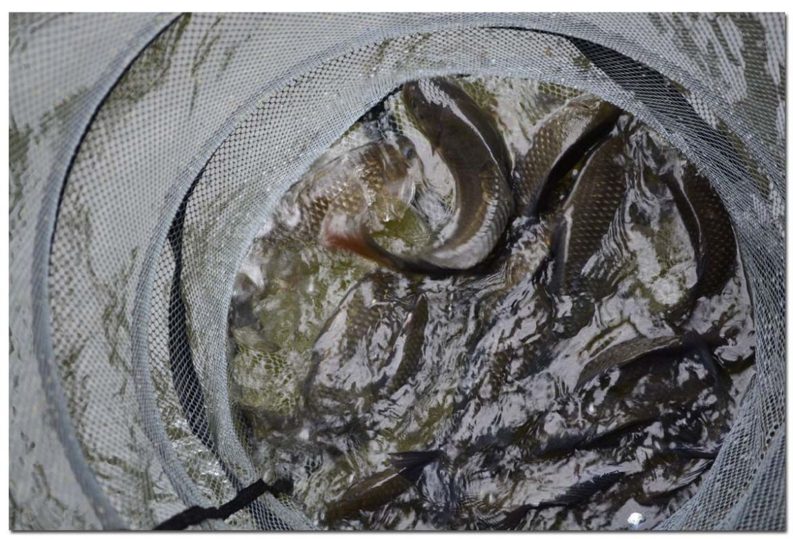 Untitled-1 copy 3.jpg