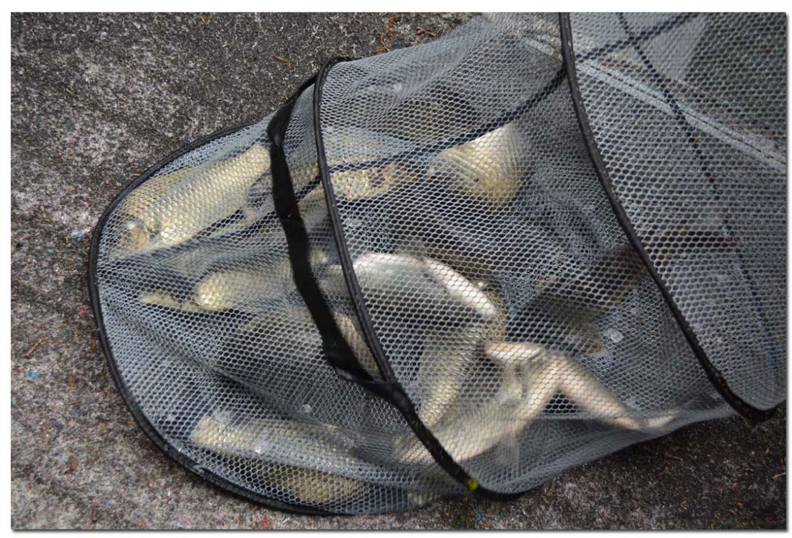 Untitled-1 copy 5.jpg