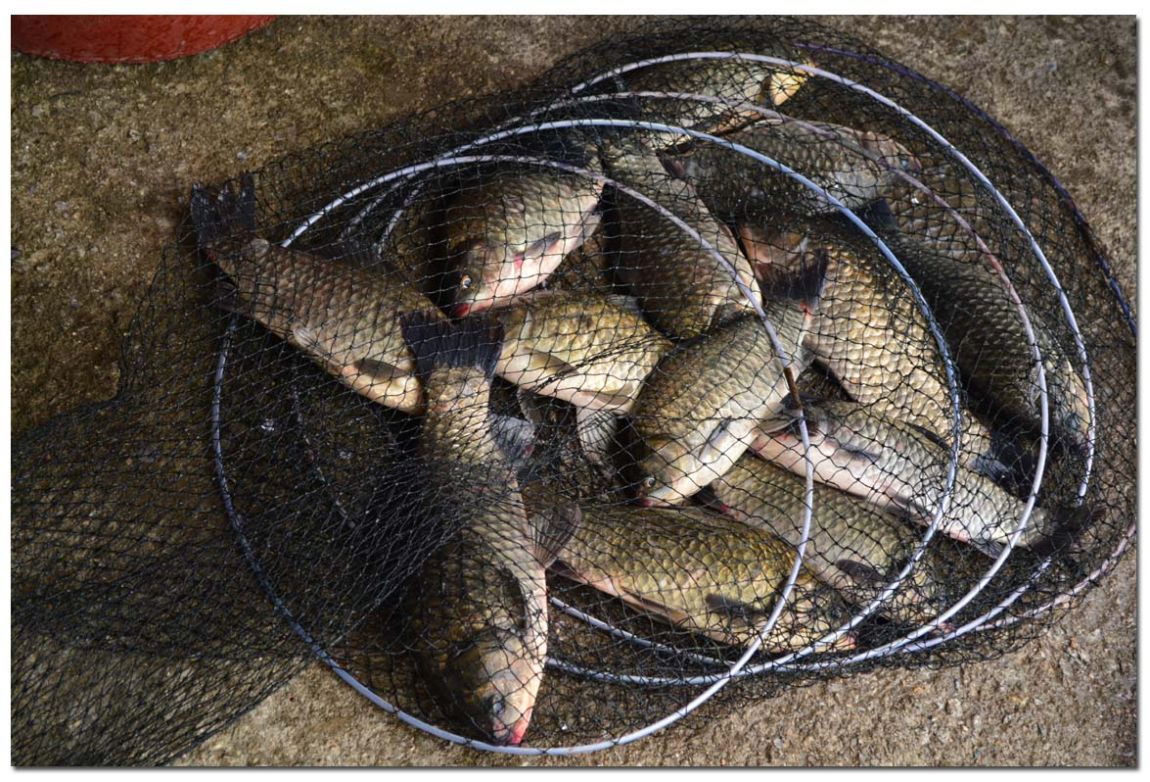 Untitled-1 copy 4.jpg