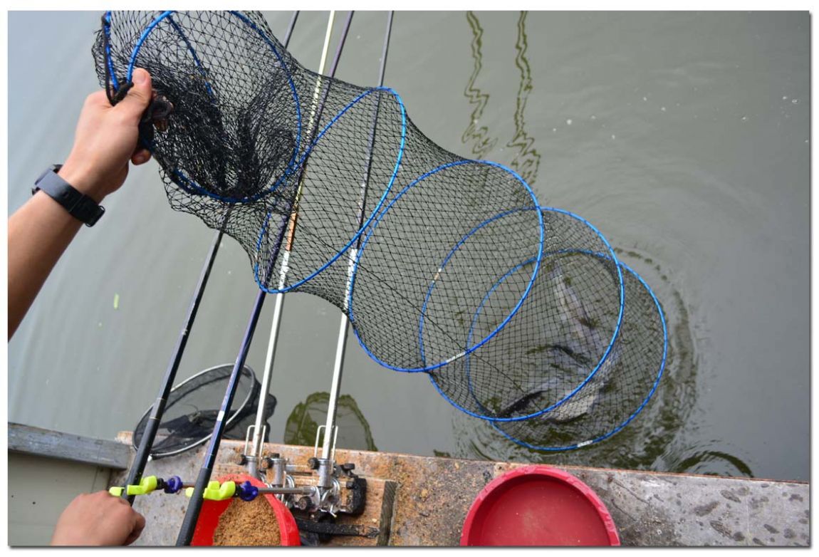 Untitled-1 copy 6.jpg