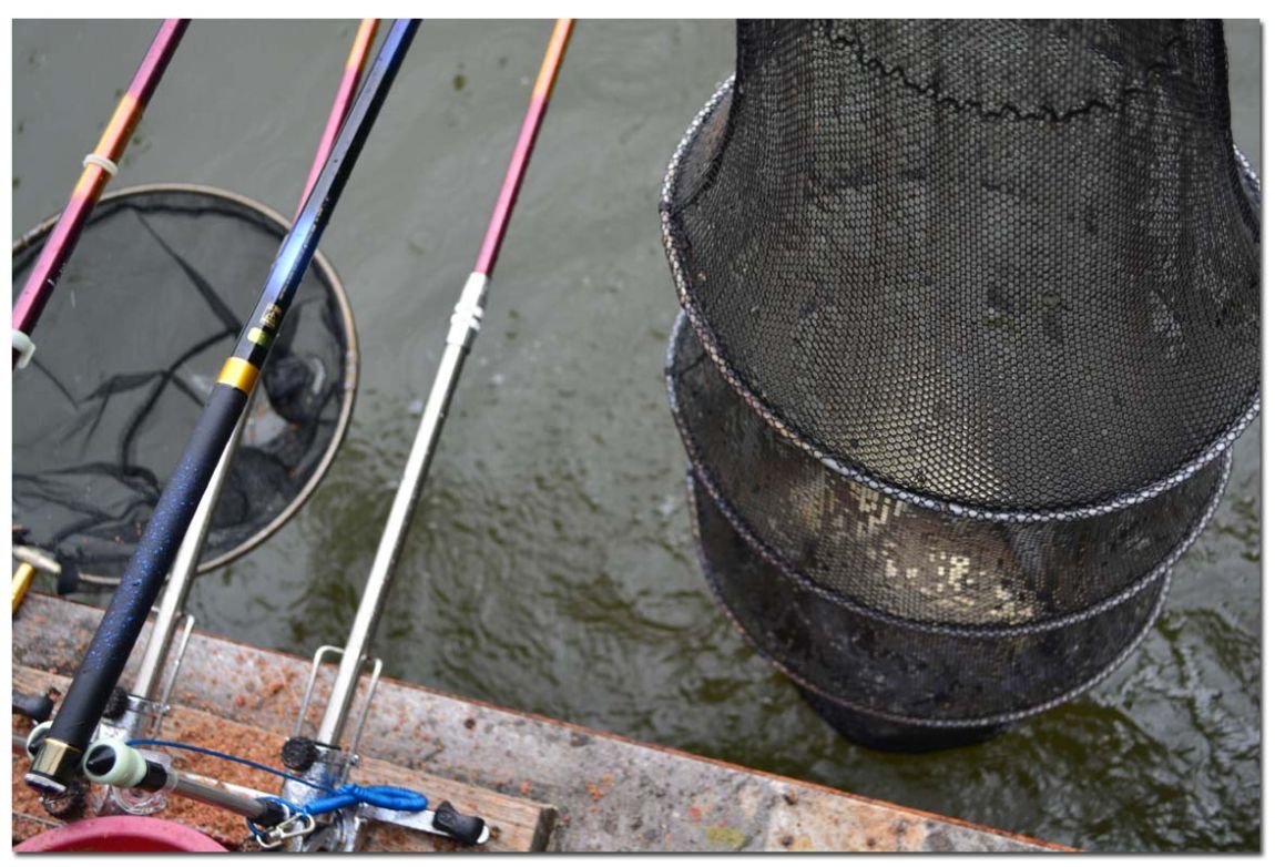 Untitled-1 copy 7.jpg