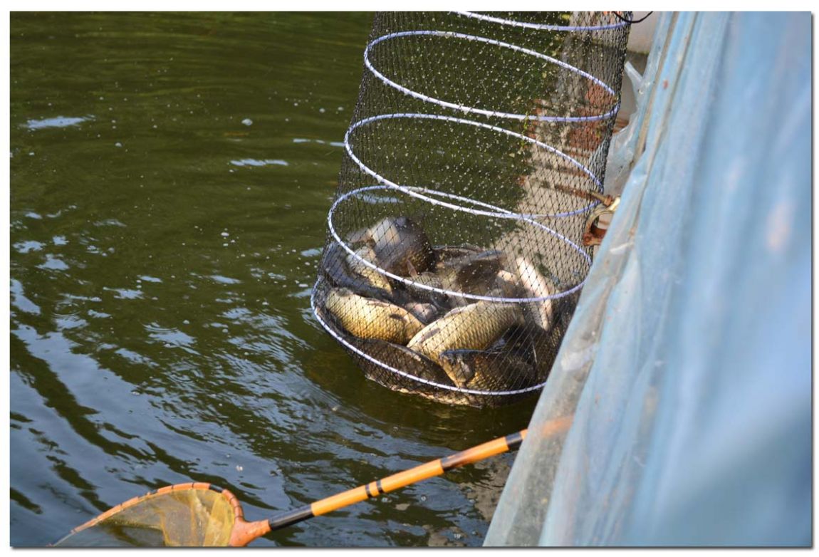 Untitled-1 copy 10.jpg