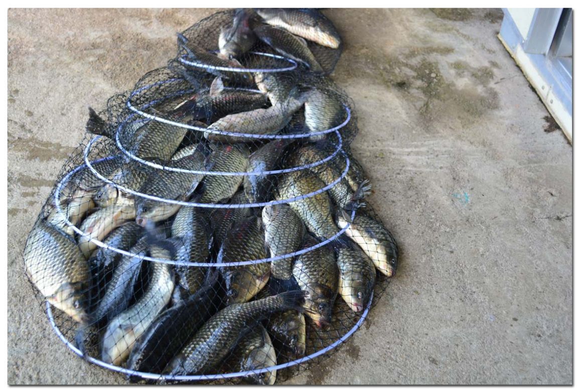 Untitled-1 copy 11.jpg