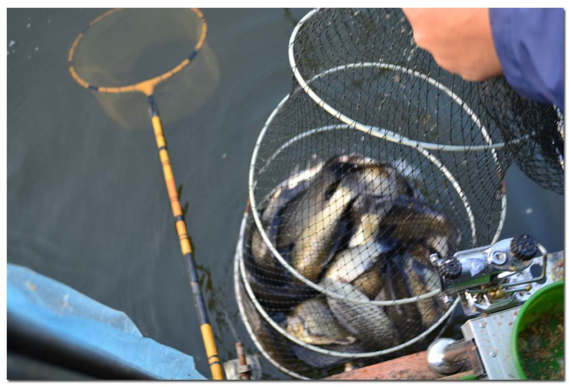 Untitled-1 copy 12.jpg