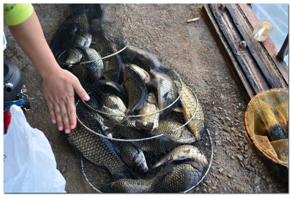 Untitled-1 copy 13.jpg