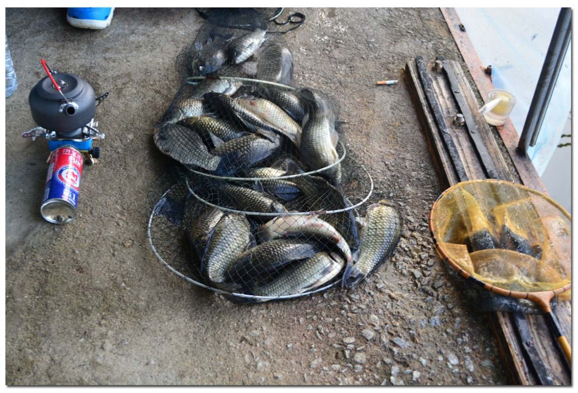 Untitled-1 copy 14.jpg