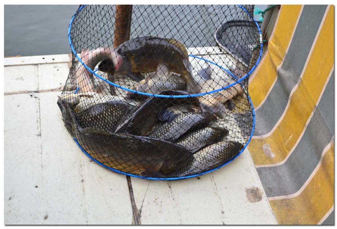 Untitled-1 copy 16.jpg