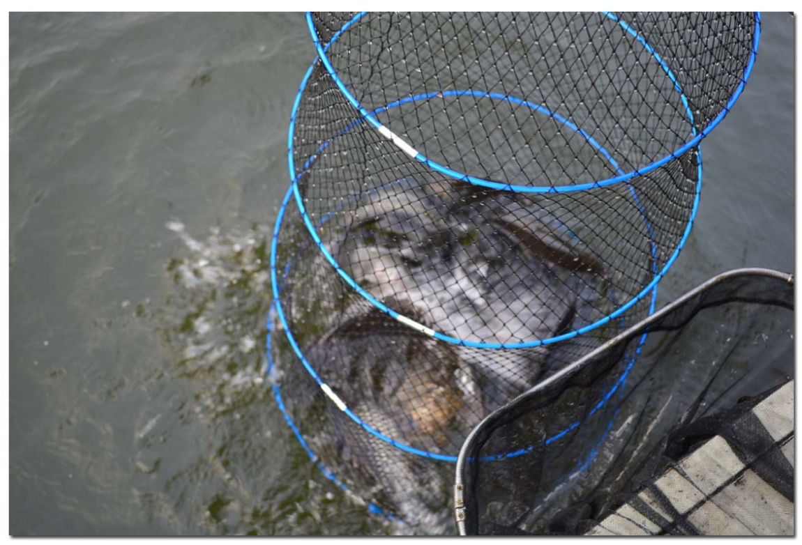 Untitled-1 copy 15.jpg