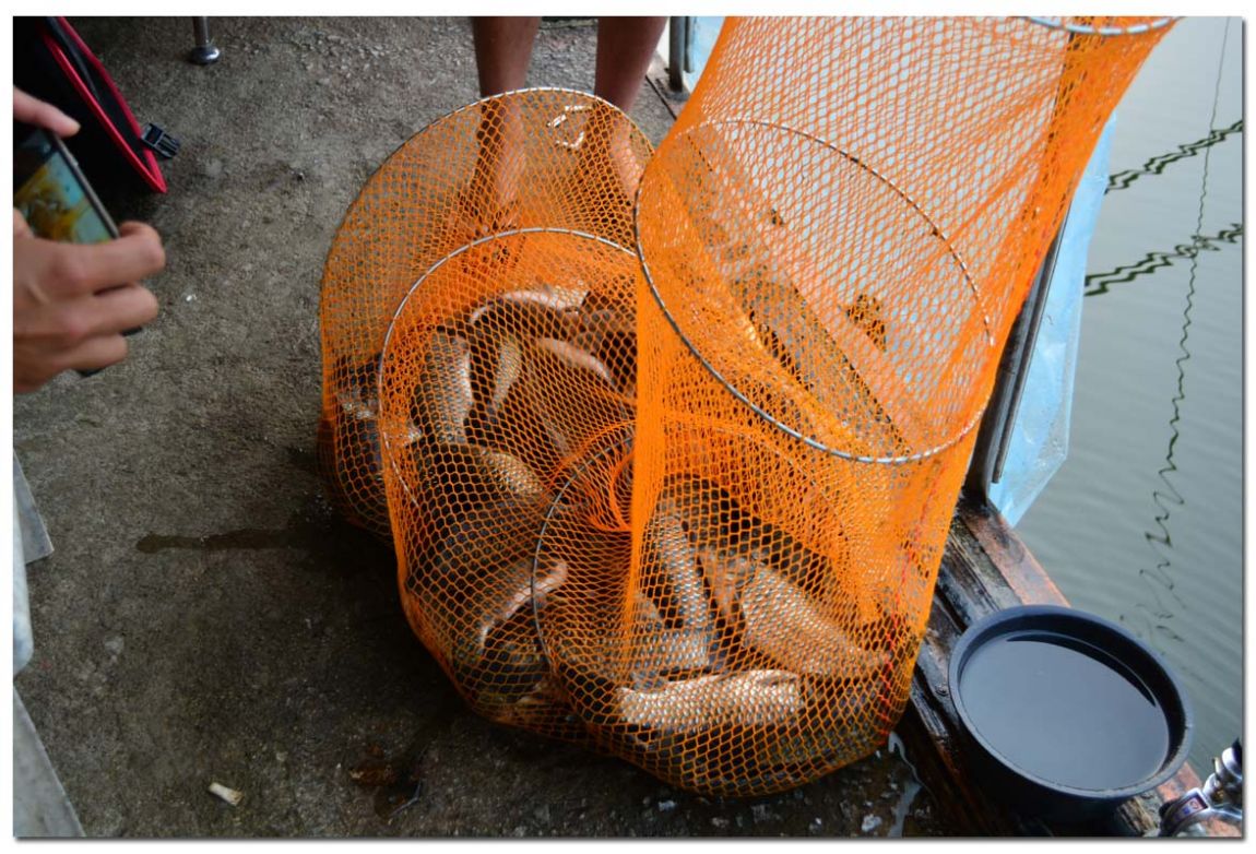 Untitled-1 copy 17.jpg