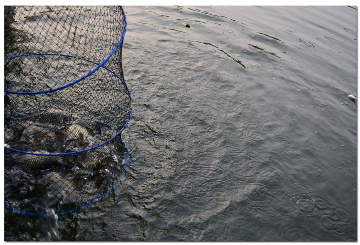 Untitled-1 copy 18.jpg