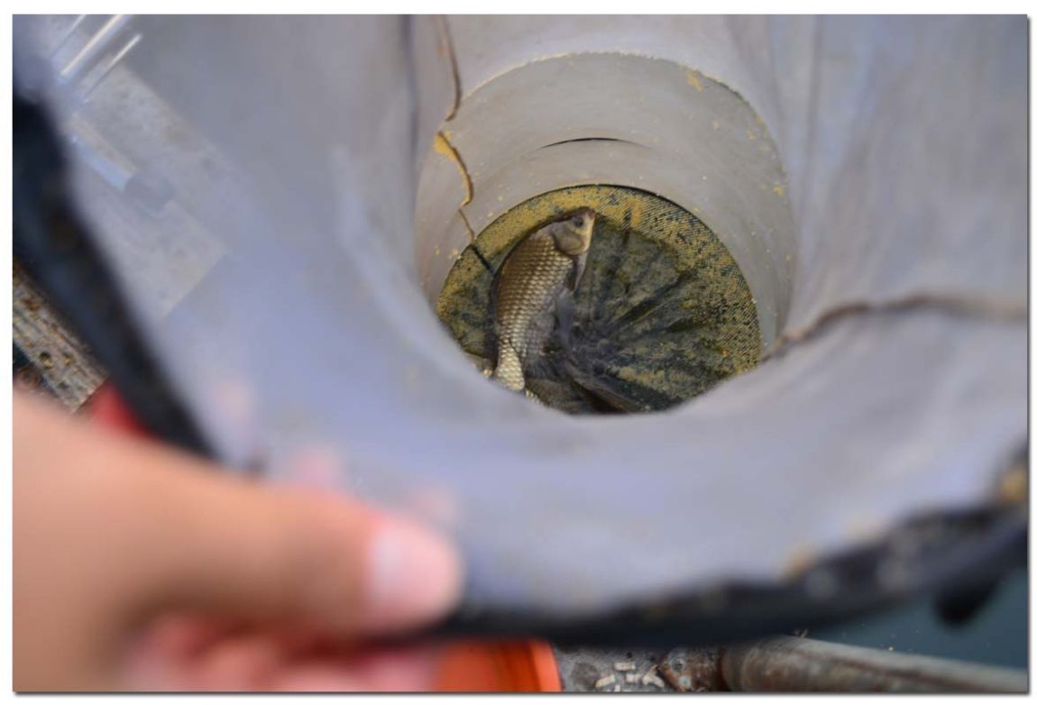 Untitled-1 copy 19.jpg