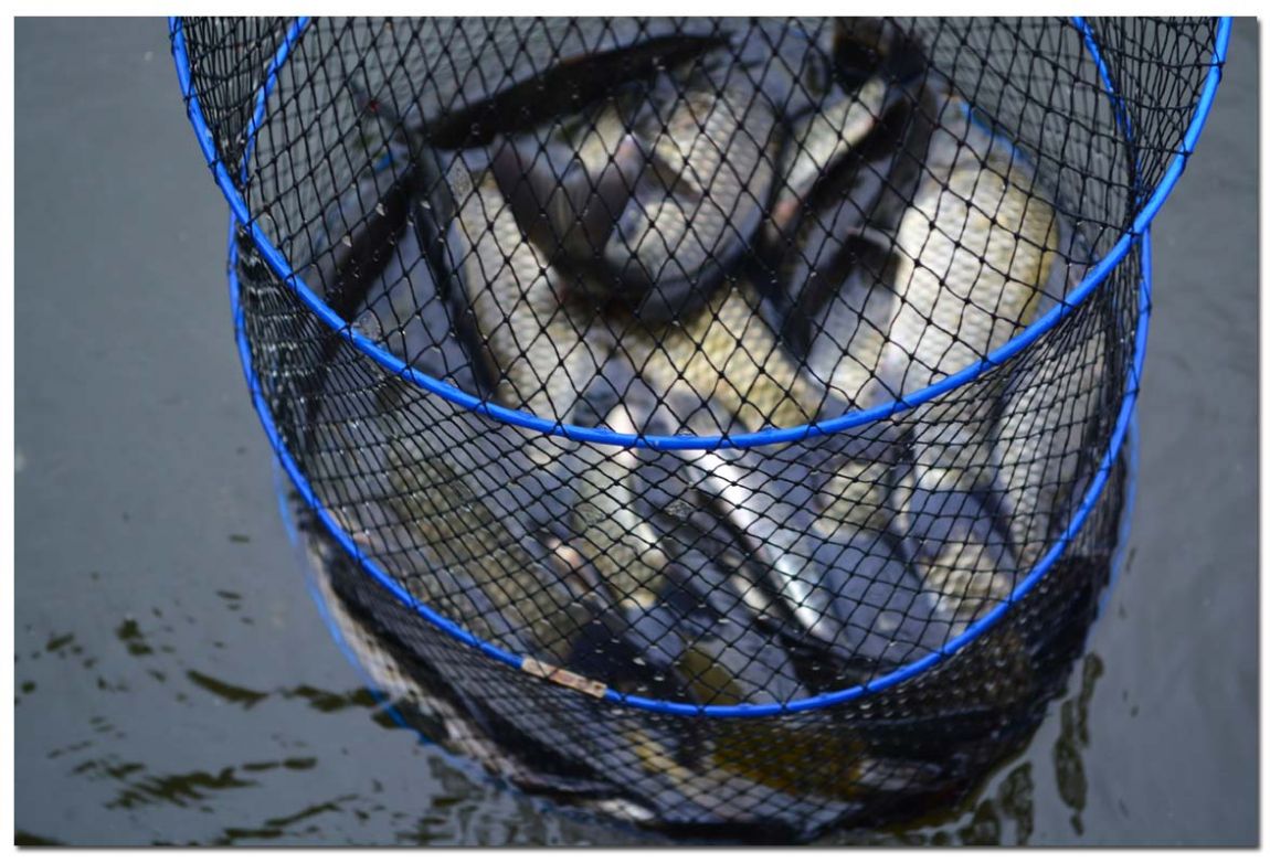 Untitled-1 copy.jpg1.jpg