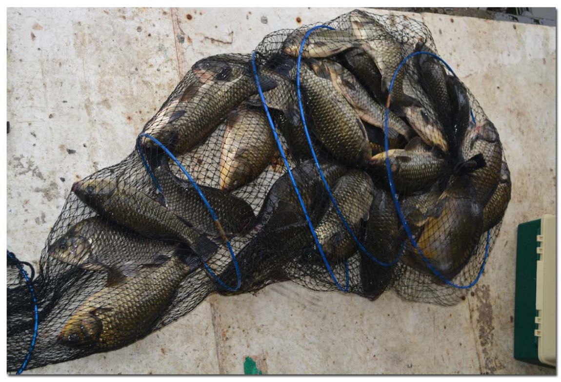 Untitled-2 copy 2.jpg