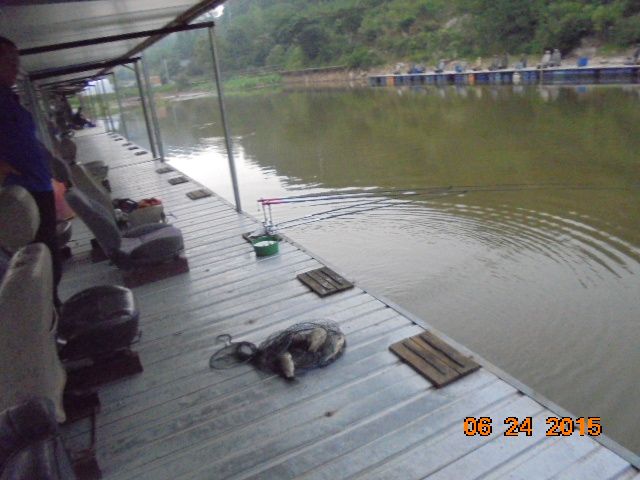 DSC02330.JPG