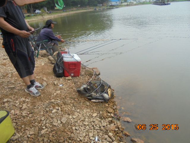 DSC02336.JPG