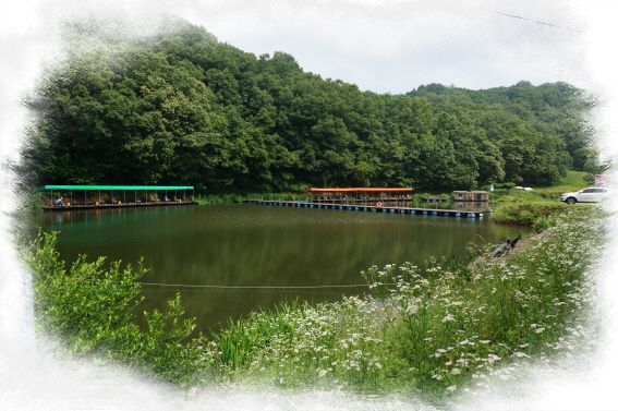 �ٹ̱�_DSC01029.JPG
