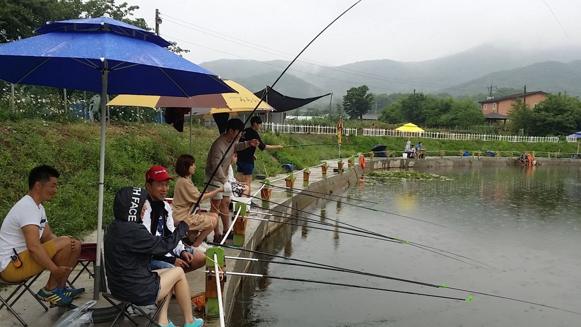 20150620_170749.jpg