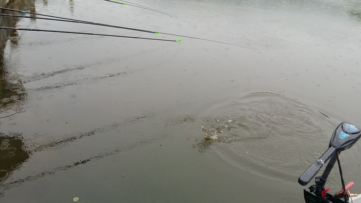 20150620_170755.jpg