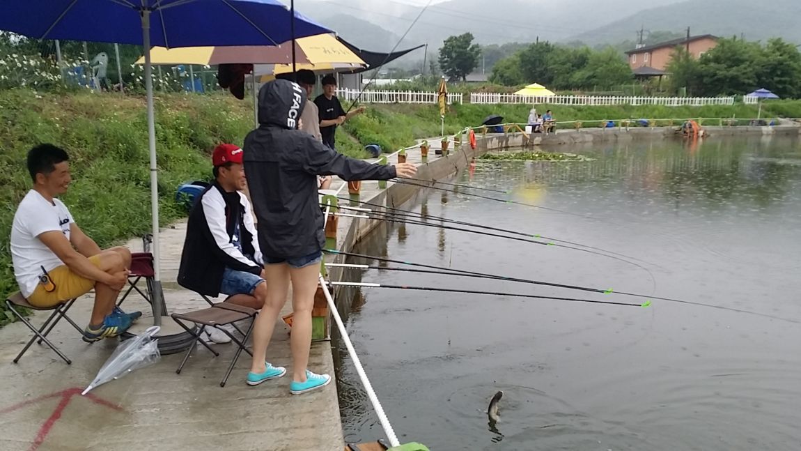 20150620_170758.jpg